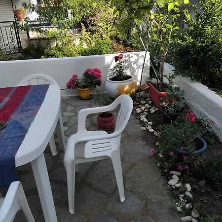 Garden *